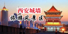 黄色网站草BB中国陕西-西安城墙旅游风景区